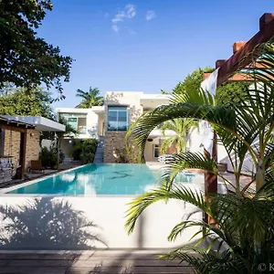 Sayab , Playa del Carmen México